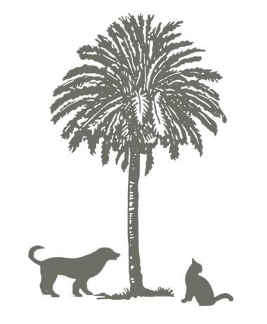 palm_tree_dog