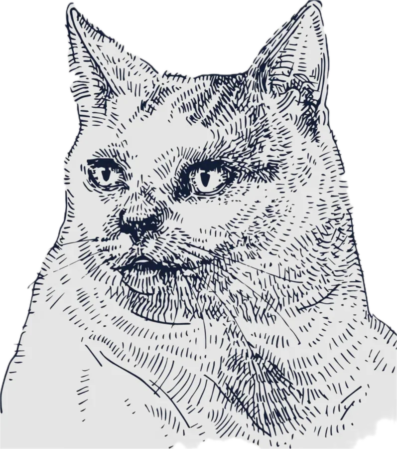 Screenshot_2025 09 06_at_12 51 Background Removed 27_pm